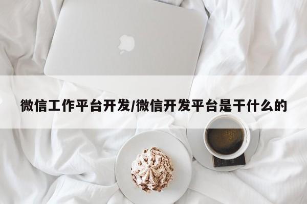 微信工作平台开发/微信开发平台是干什么的