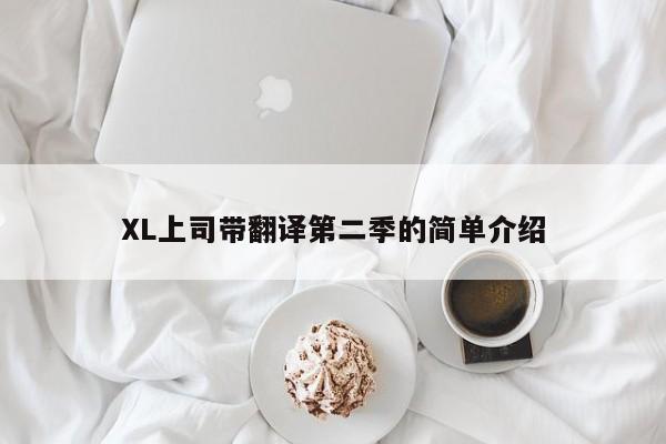 XL上司带翻译第二季的简单介绍