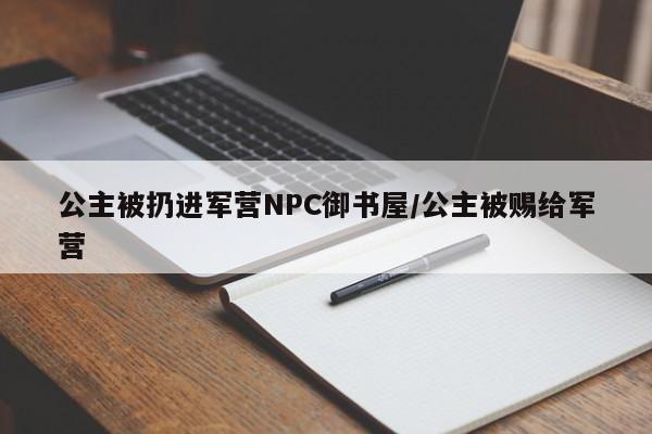 公主被扔进军营NPC御书屋/公主被赐给军营