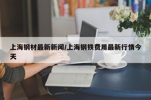 上海钢材最新新闻/上海钢铁费用最新行情今天