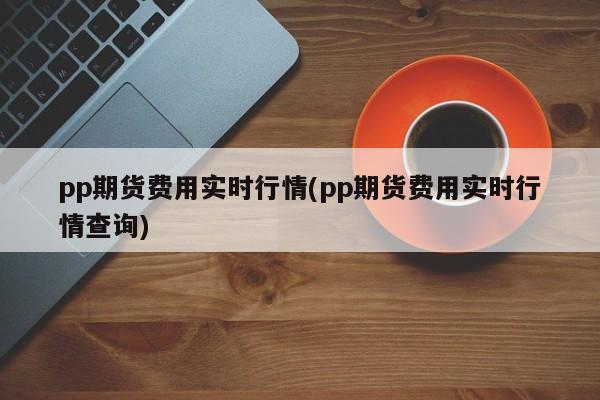pp期货费用实时行情(pp期货费用实时行情查询)