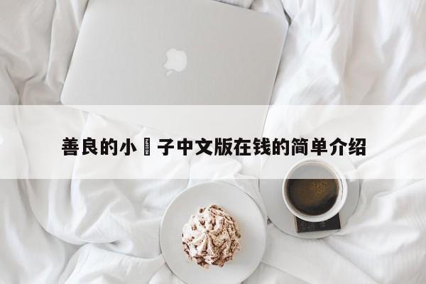 善良的小峓子中文版在钱的简单介绍
