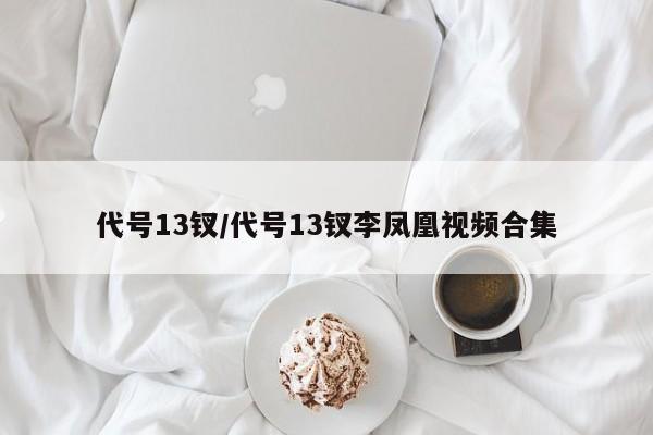 代号13钗/代号13钗李凤凰视频合集