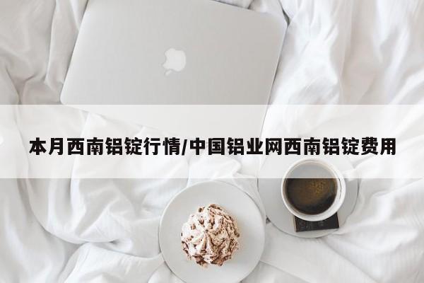 本月西南铝锭行情/中国铝业网西南铝锭费用