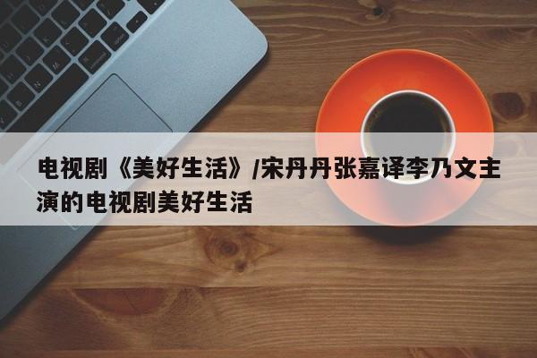 电视剧《美好生活》/宋丹丹张嘉译李乃文主演的电视剧美好生活