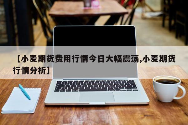 【小麦期货费用行情今日大幅震荡,小麦期货行情分析】