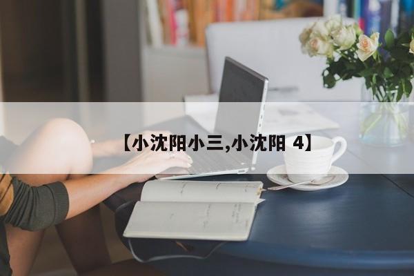 【小沈阳小三,小沈阳 4】