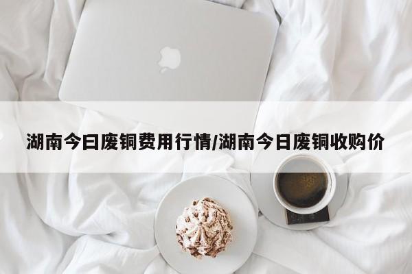 湖南今曰废铜费用行情/湖南今日废铜收购价