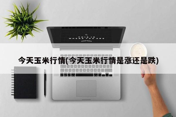 今天玉米行情(今天玉米行情是涨还是跌)