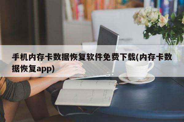 手机内存卡数据恢复软件免费下载(内存卡数据恢复app)