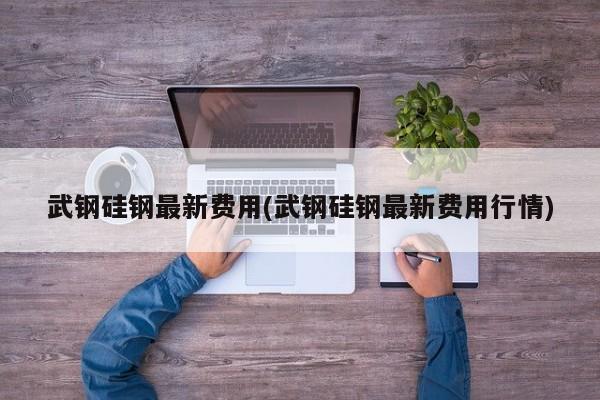 武钢硅钢最新费用(武钢硅钢最新费用行情)