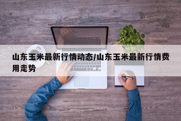 山东玉米最新行情动态/山东玉米最新行情费用走势