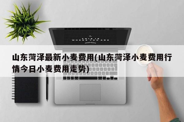 山东菏泽最新小麦费用(山东菏泽小麦费用行情今日小麦费用走势)