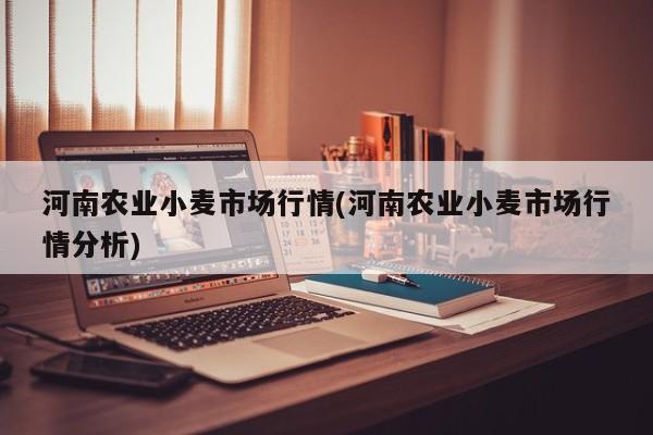 河南农业小麦市场行情(河南农业小麦市场行情分析)