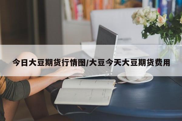 今日大豆期货行情图/大豆今天大豆期货费用
