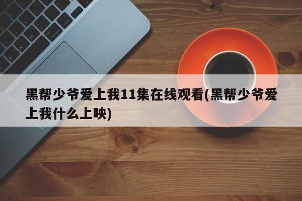 黑帮少爷爱上我11集在线观看(黑帮少爷爱上我什么上映)