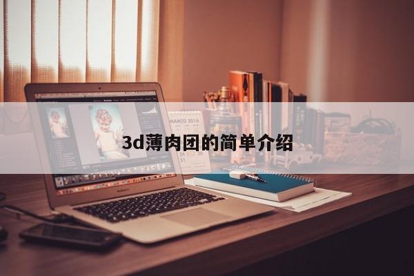3d薄肉团的简单介绍