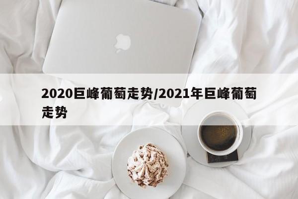 2020巨峰葡萄走势/2021年巨峰葡萄走势