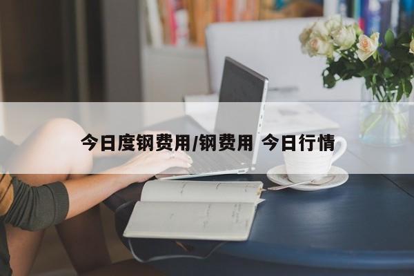 今日度钢费用/钢费用 今日行情