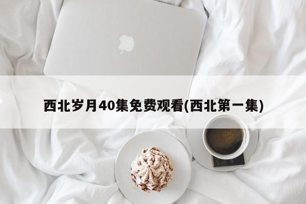 西北岁月40集免费观看(西北第一集)