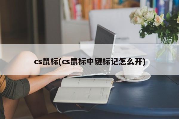 cs鼠标(cs鼠标中键标记怎么开)